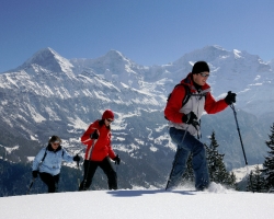 grindelwald