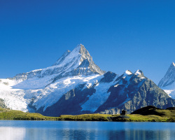 Bachalpsee_mit_Schreckhorn