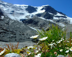 Pauschale_Ewiges Eis_Steingletscher
